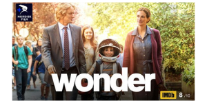 wonder